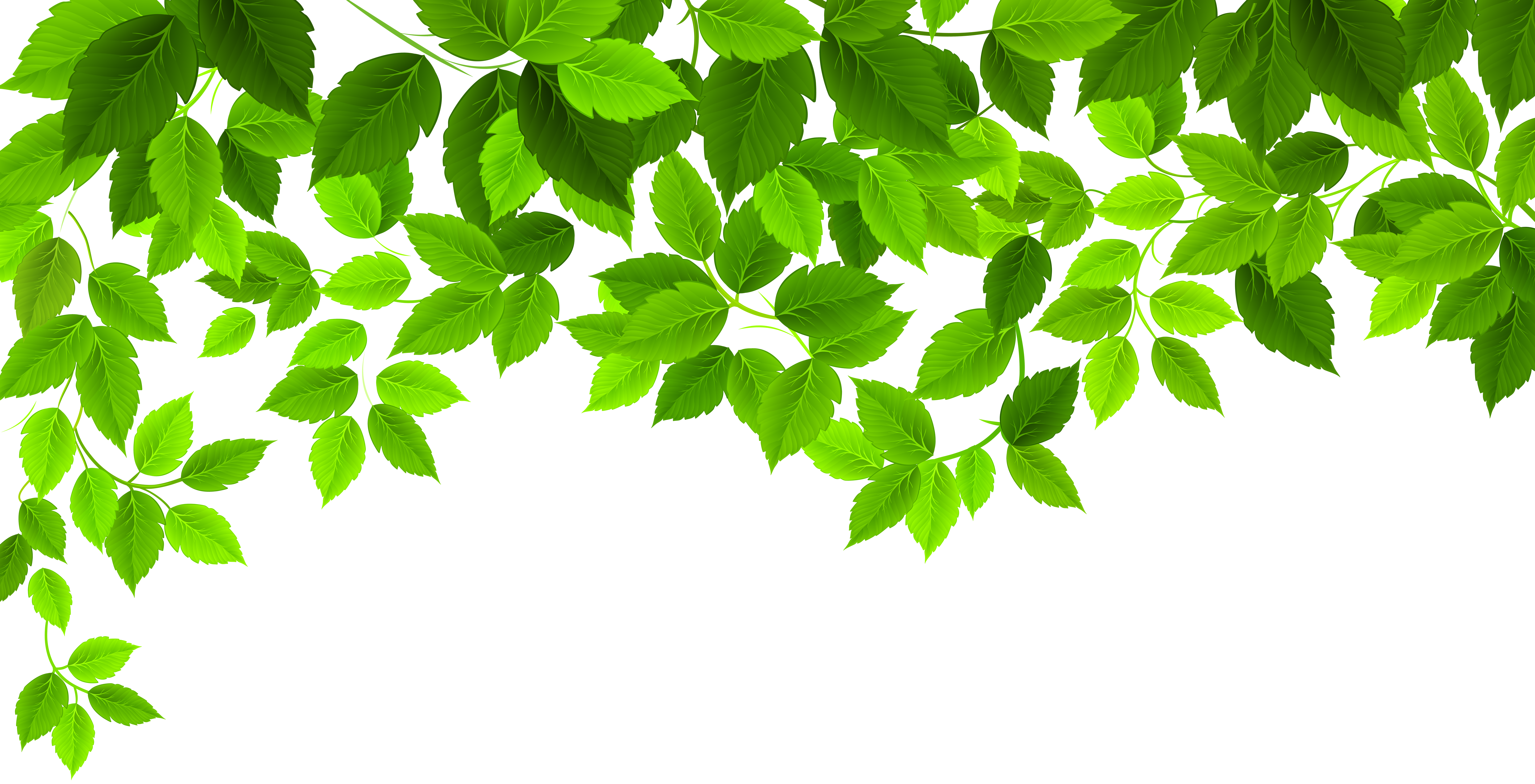 Tree Leaf Png Clip Art