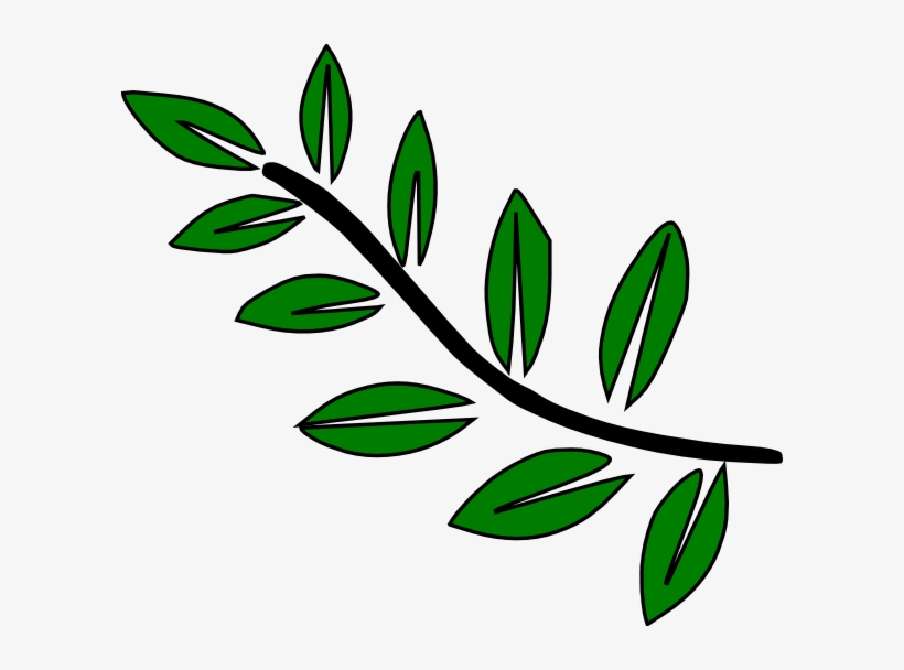 Free transparent png download. Clipart leaves stem and leaf plot