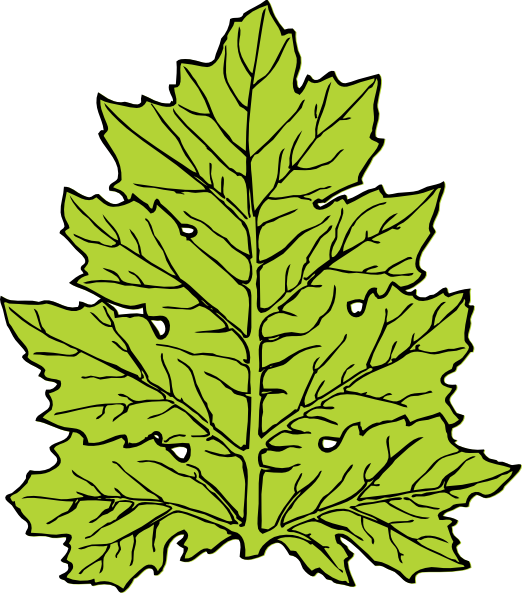 clipart leaves tiny leaf