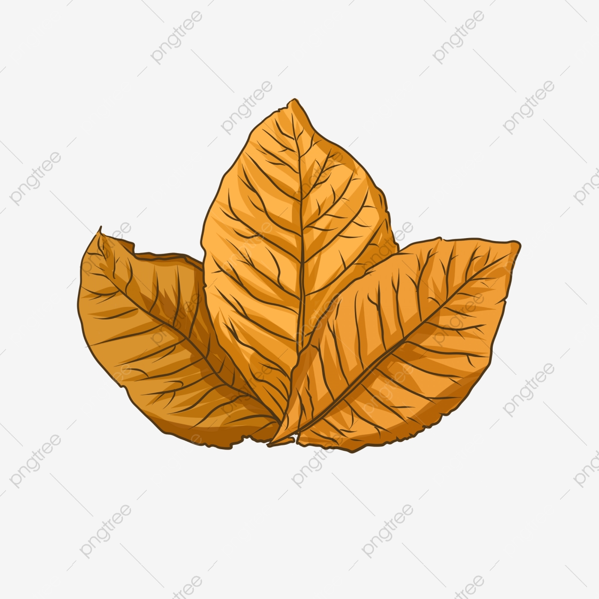 Clipart leaves tobacco leaf. Free download black yellow