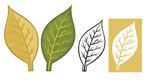 Nw free cliparts . Clipart leaves tobacco leaf