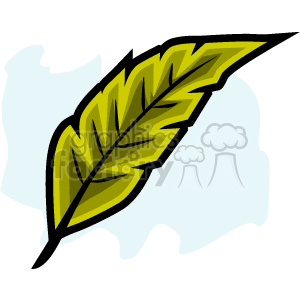 Sp free cliparts . Clipart leaves tobacco leaf