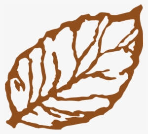 Png transparent image free. Clipart leaves tobacco leaf