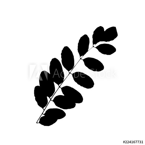 leaves clipart tree paper