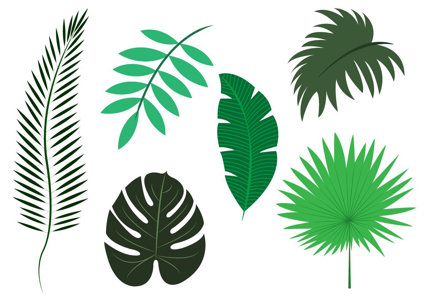 clipart leaves tree paper