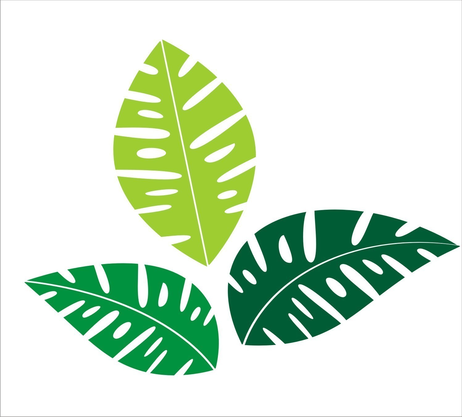 clipart leaves tropical