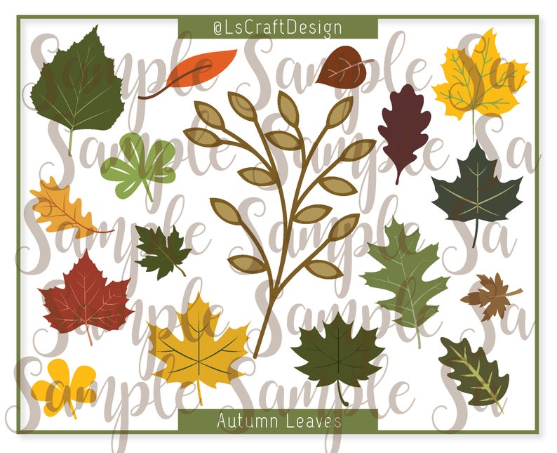 clipart leaves two leave
