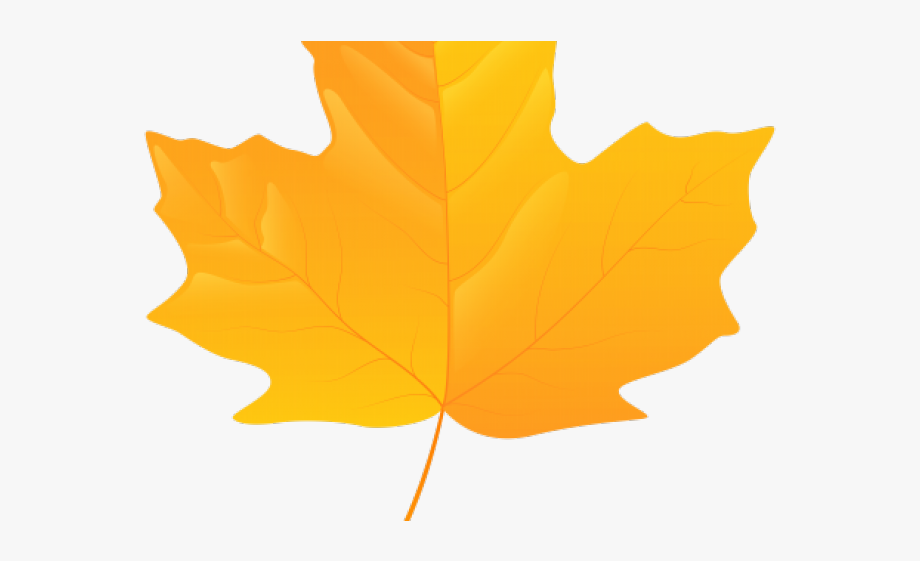 clipart leaves yellow leaf