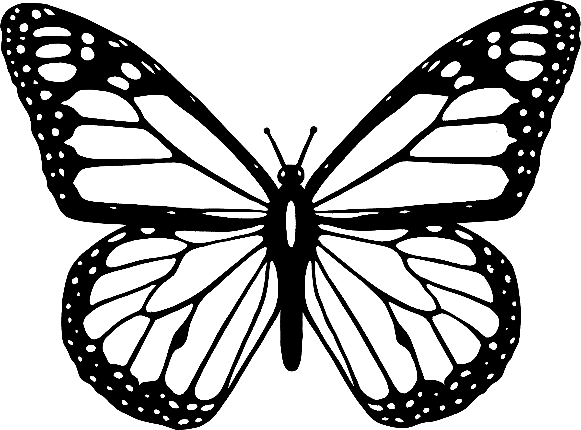 clipart letters butterfly