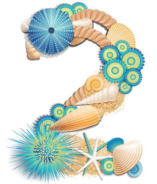 Moana Clipart Shell Moana Shell Transparent Free For Download On Webstockreview 21