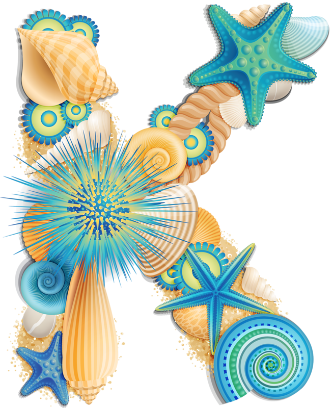 clipart letters seashell
