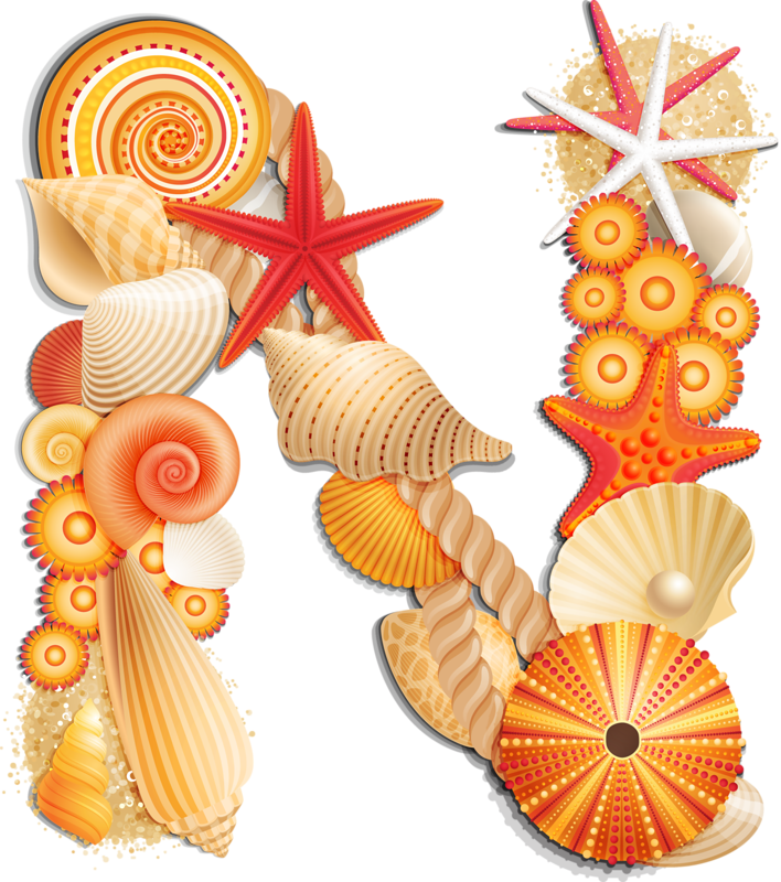 clipart letters seashell