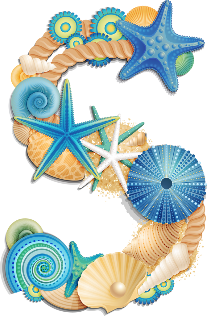 clipart letters seashell