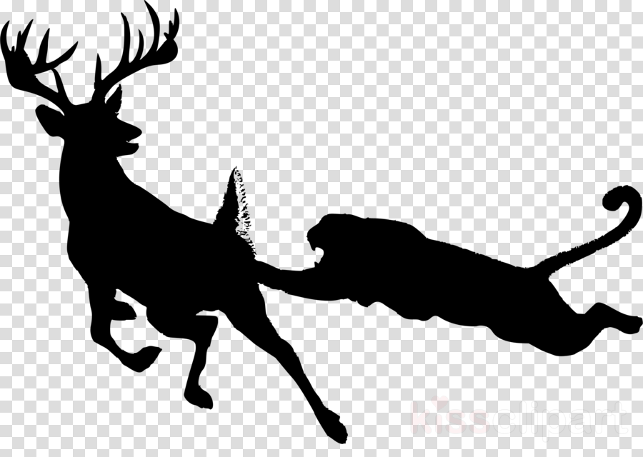 Cartoon black transparent clip. Clipart lion deer