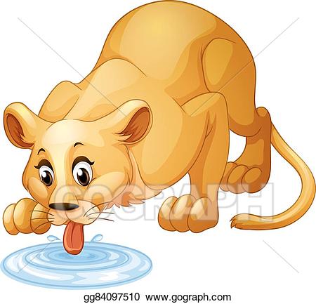 clipart lion drinking water