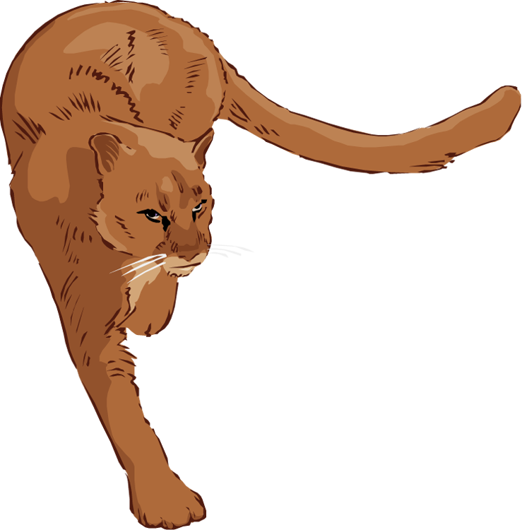 paws clipart baby lion