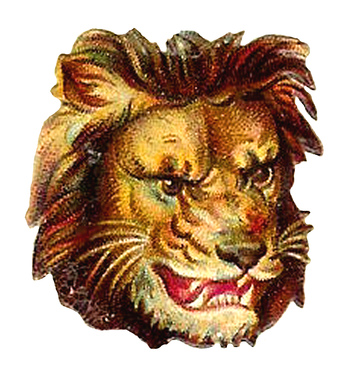 clipart lion monarch