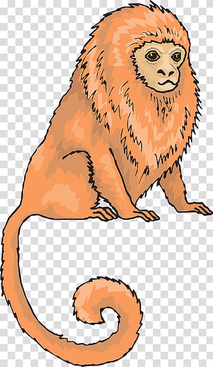 clipart lion monkey