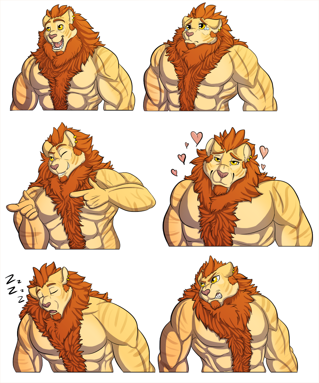clipart lion muscular