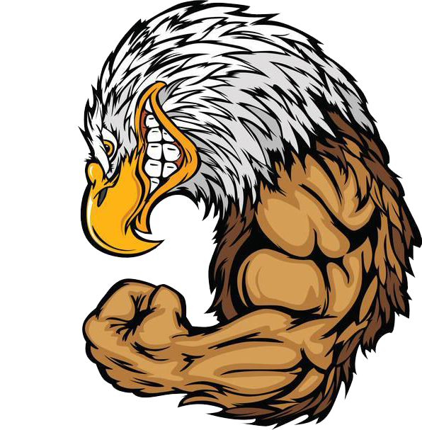 muscle clipart muscle animal