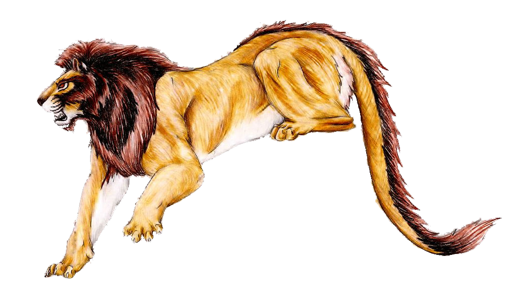  collection of high. Lion clipart nemean lion