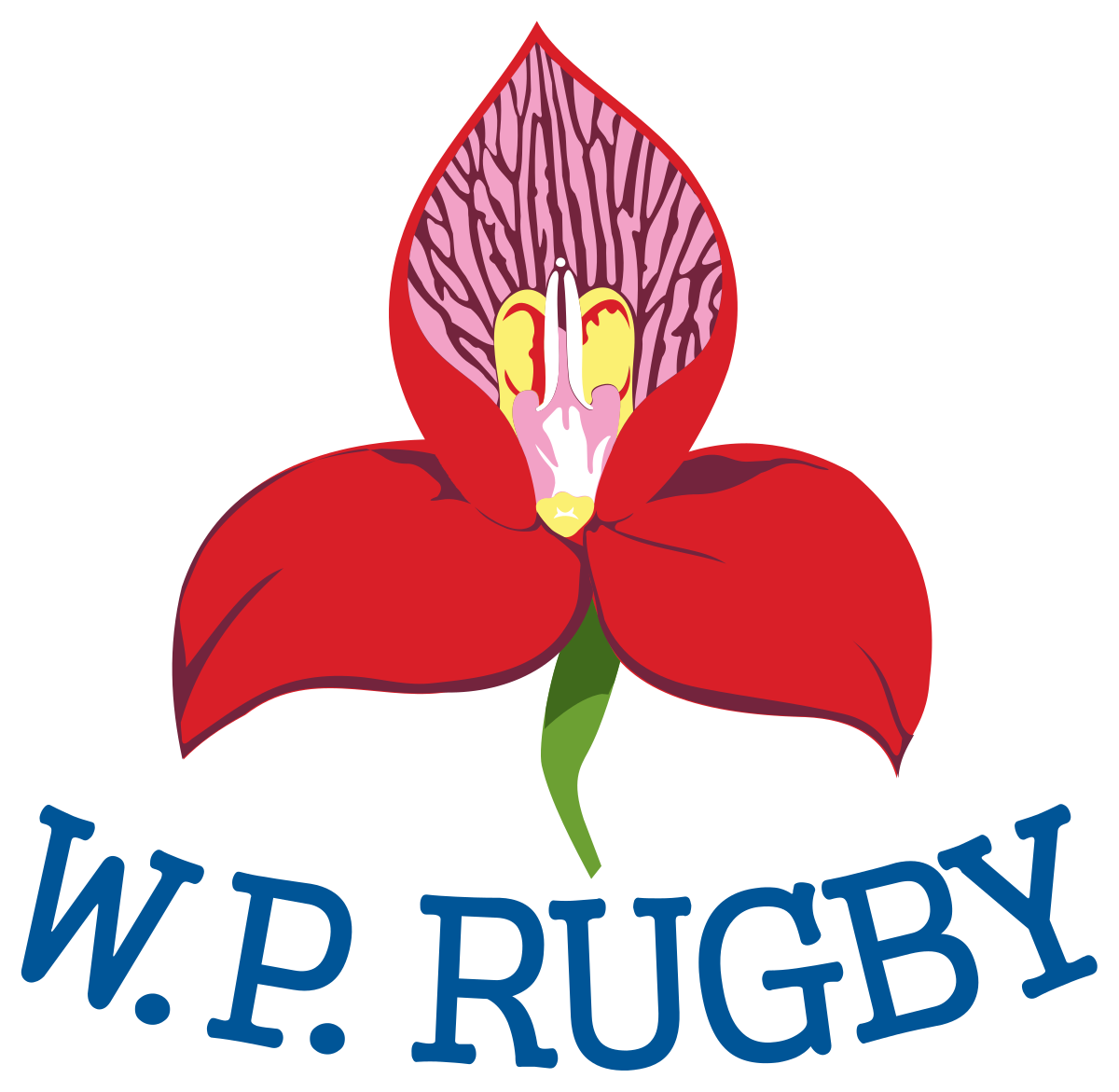 clipart shark rugby