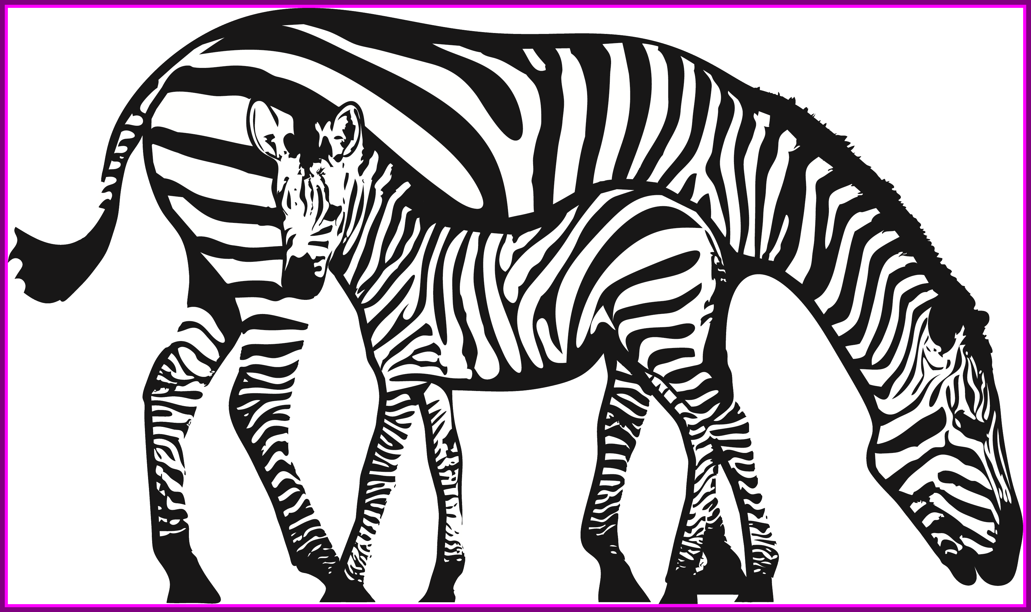Download Baby Zebra Clipart Ilmu Pengetahuan 2