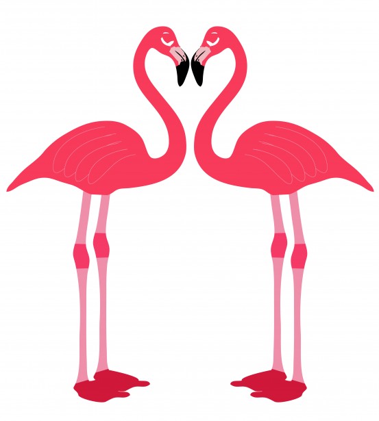 flamingo clipart love