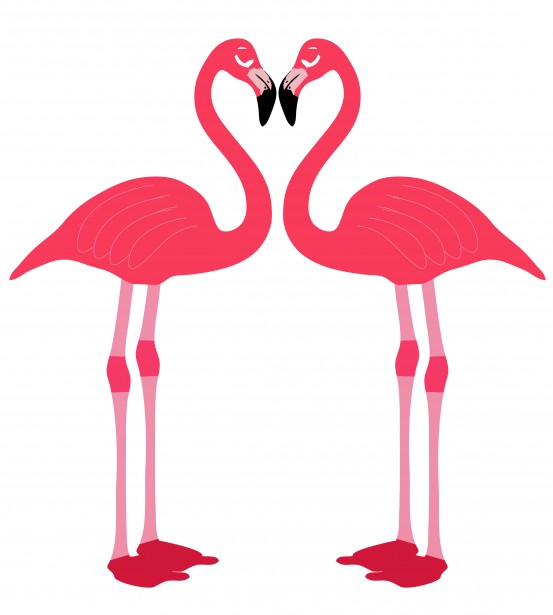 Birds heart free stock. Flamingo clipart love