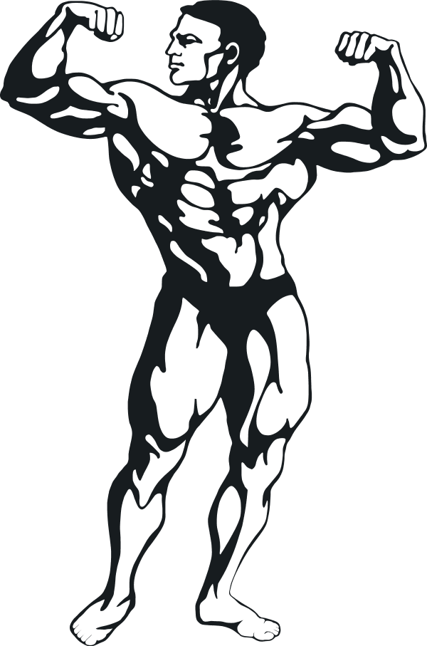 muscle clipart male