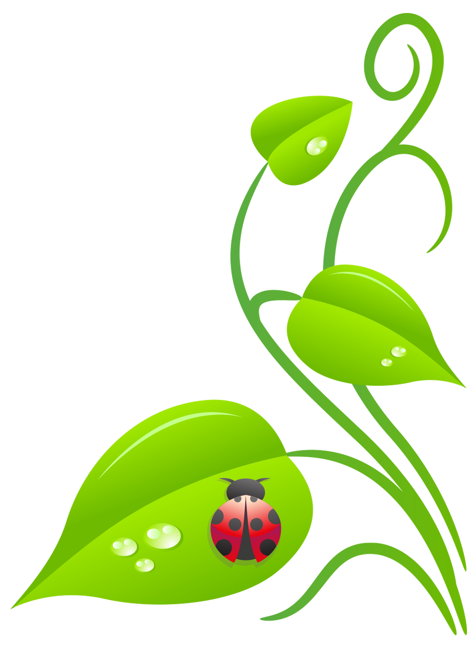 ladybugs clipart garden