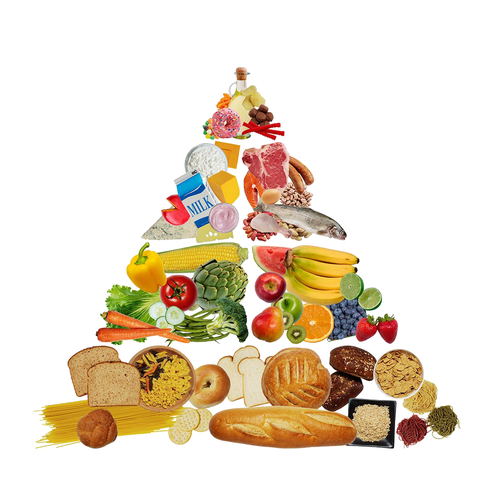 healthy clipart food pyramid