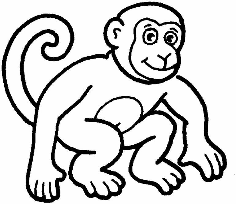 monkeys clipart line
