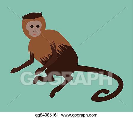clipart monkey capuchin monkey