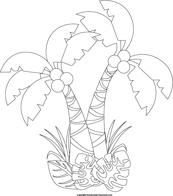 rainforest clipart illustration