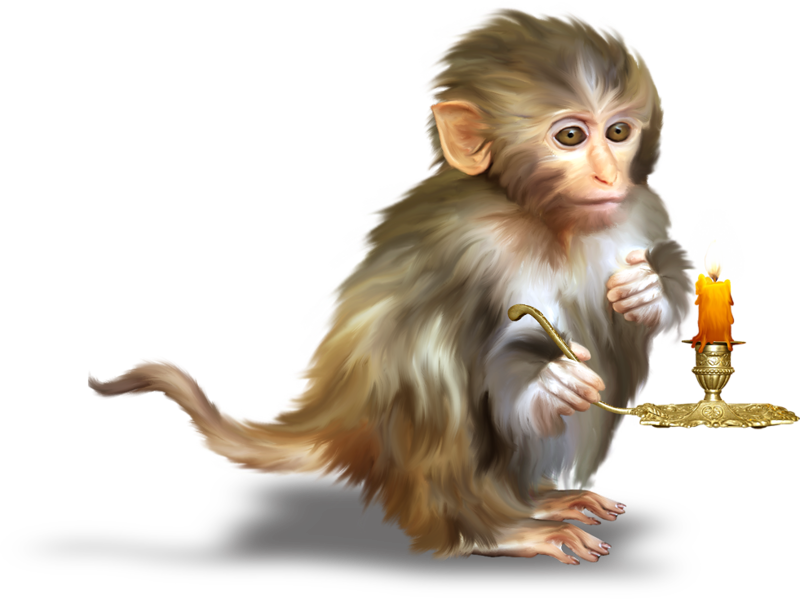 Monkey clipart rhesus monkey. Orangutan clip art hand