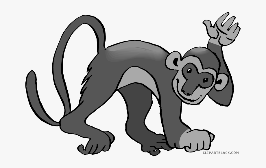 clipart monkey spider monkey