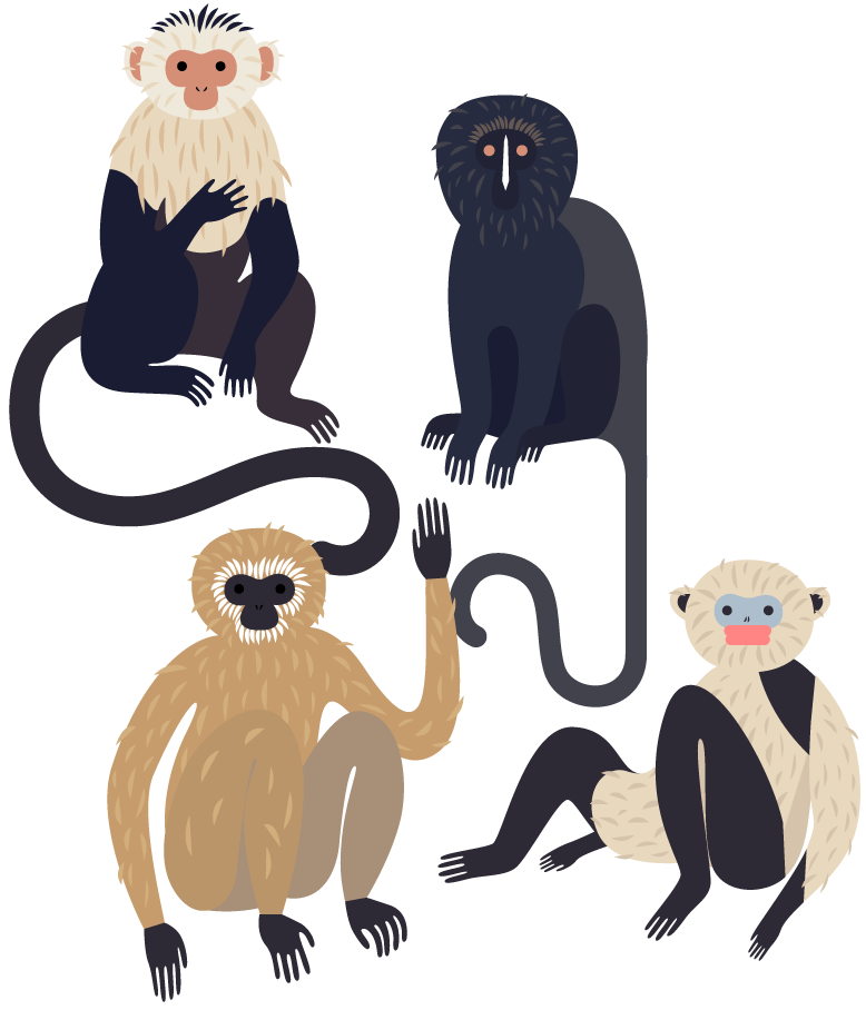 Monkeys laura edelbacher illustration. Clipart pencil monkey