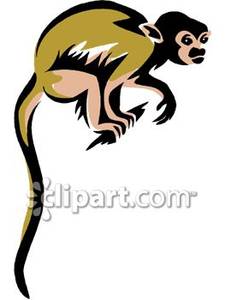clipart monkey squirrel monkey