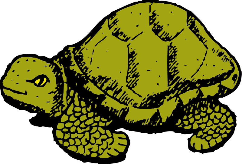 clipart turtle friend