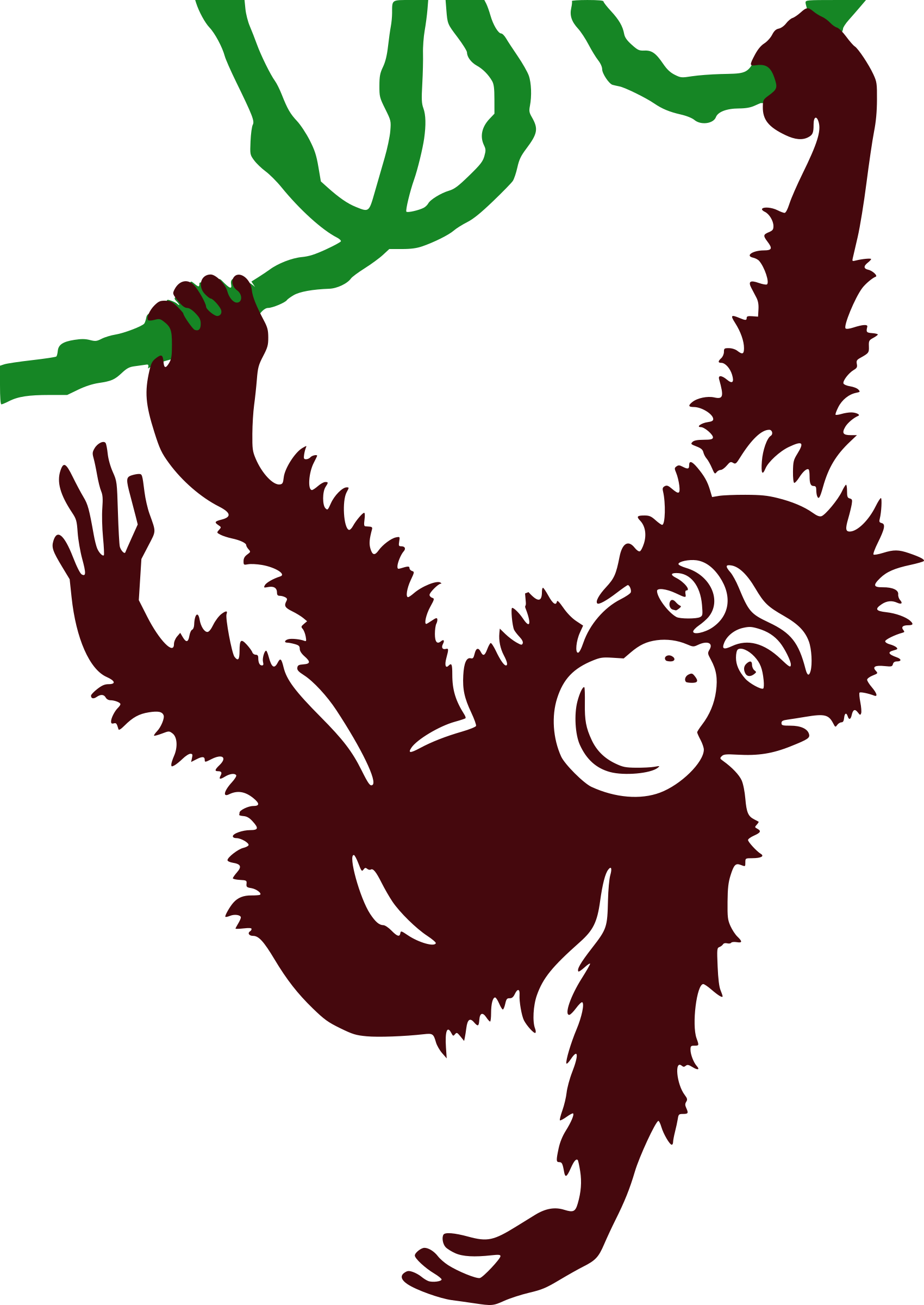 monkey clipart vine