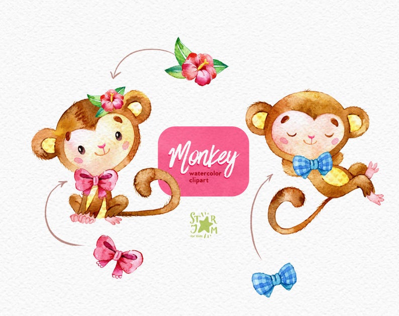 Animals jungle tropical liana. Clipart monkey watercolor