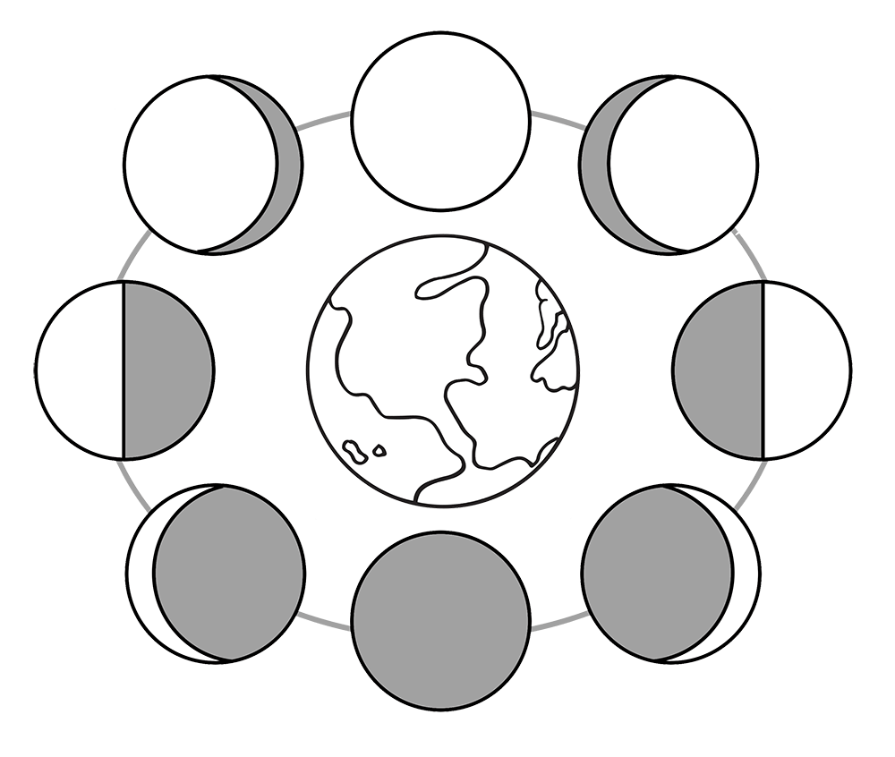 Phases of the moon. Cookie clipart coloring page