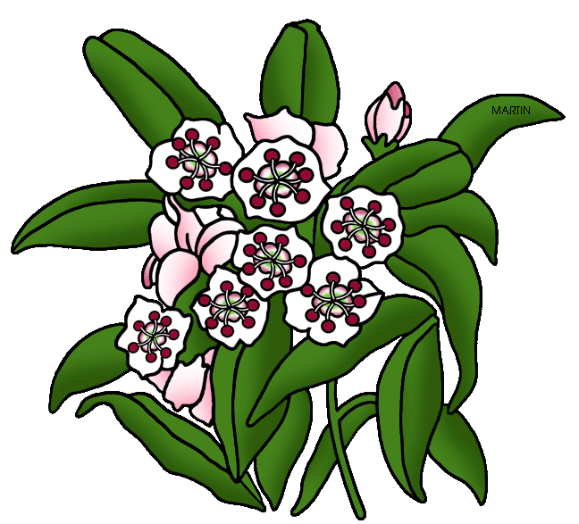 United states clip art. Mountain clipart flower