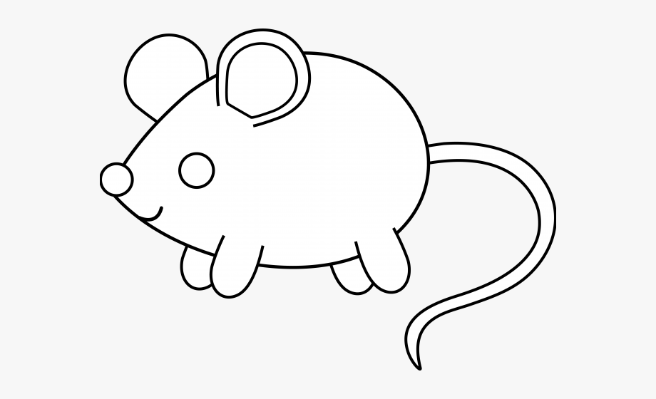 Kangaroo rat cute coloring. Clipart mouse colour