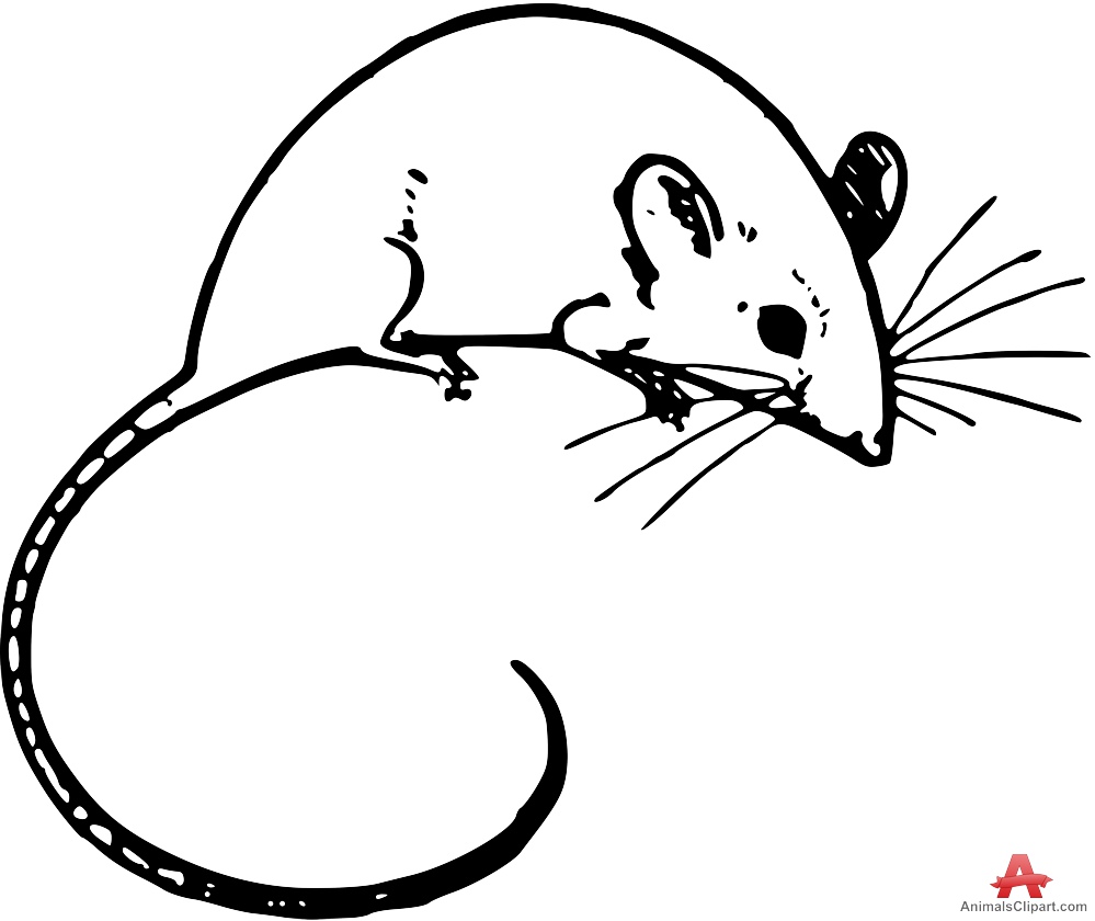 clipart mouse drawing