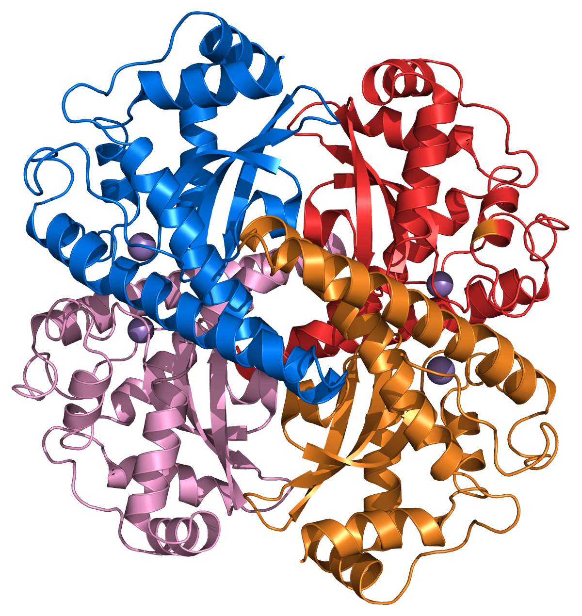 Superoxide dismutase wikipedia . Humans clipart many