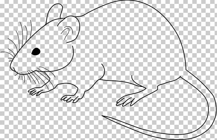 clipart mouse experimental