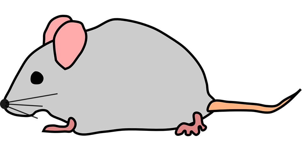 clipart mouse field mouse