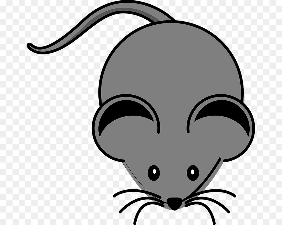 clipart mouse gray mouse